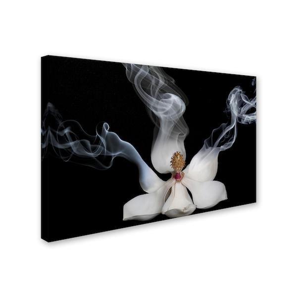 Lori Hutchison 'Smoking Magnolia' Canvas Art,30x47